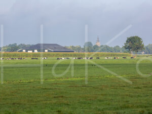 Landbouwlandschap (16B7937)