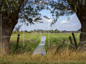 Landbouwlandschap (16B7981)