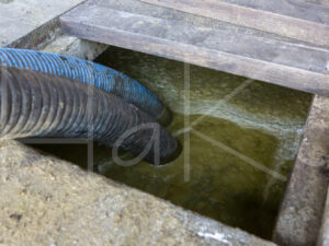 Overige veeteelt (16B8190)