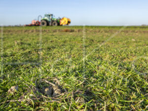 Overige veeteelt (16B8214)