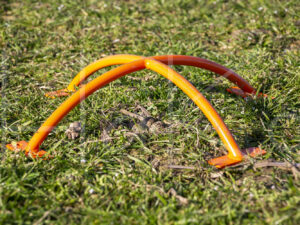 Overige veeteelt (16B8276)