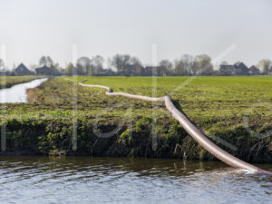 Overige veeteelt (16B8290)