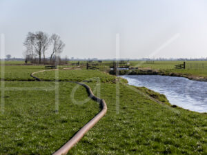 Overige veeteelt (16B8291)