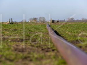 Overige veeteelt (16B8293)