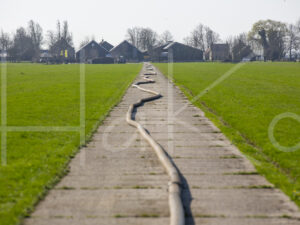 Overige veeteelt (16B8306)