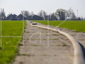 Overige veeteelt (16B8311)