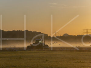 Landbouwlandschap (16B8338)