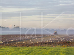 Landbouwlandschap (16B8353)