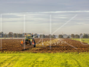 Overige veeteelt (16B8370)