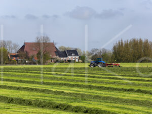 Overige veeteelt (16B8432)