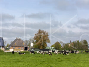 Landbouwlandschap (16B8495)