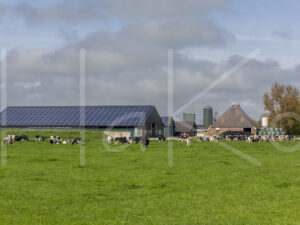 Landbouwlandschap (16B8498)