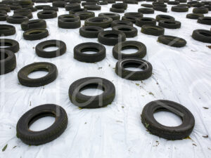 Overige veeteelt (16B8531)