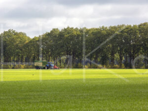 Overige veeteelt (16B8566)