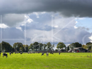 Landbouwlandschap (16B8597)