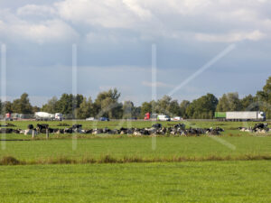 Landbouwlandschap (16B8685)