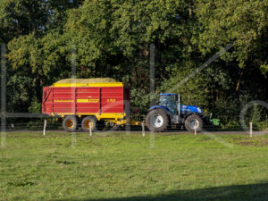 Maïsteelt (16B8768)