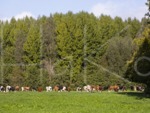 Landbouwlandschap (16B8866)