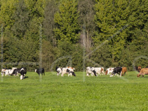Landbouwlandschap (16B8873)