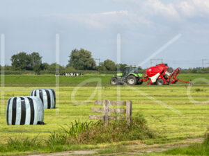 Overige veeteelt (16B9390)