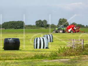 Overige veeteelt (16B9394)