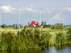 Overige veeteelt (16B9411)