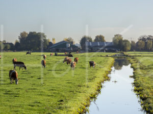 Landbouwlandschap (16B9542)