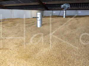 Tarweteelt (16B9840)