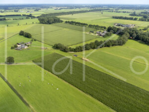 Landbouwlandschap (DJI_0021)