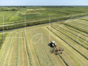 Overige veeteelt (DJI_0032)