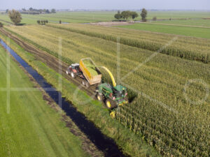 Maïsteelt (DJI_0043)