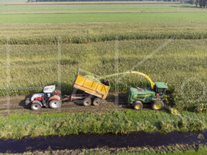 Maïsteelt (DJI_0045)