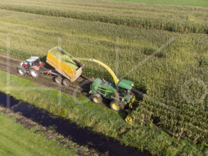 Maïsteelt (DJI_0046)