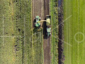 Maïsteelt (DJI_0051)