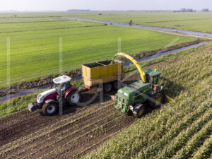 Maïsteelt (DJI_0052)