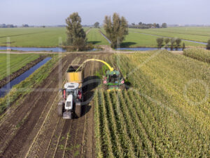 Maïsteelt (DJI_0057)