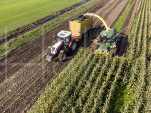 Maïsteelt (DJI_0059)