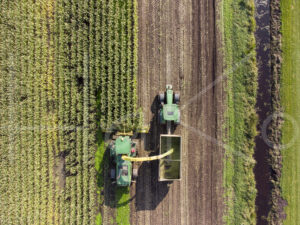 Maïsteelt (DJI_0061)