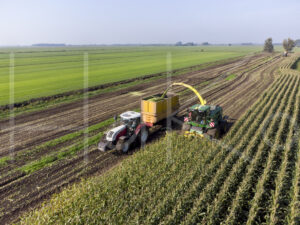 Maïsteelt (DJI_0067)