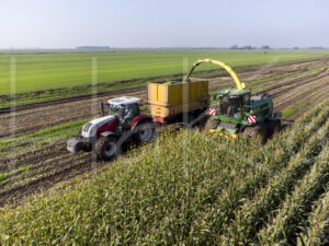 Maïsteelt (DJI_0070)