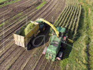 Maïsteelt (DJI_0075)