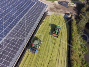 Maïsteelt (DJI_0083)