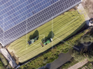 Maïsteelt (DJI_0092)