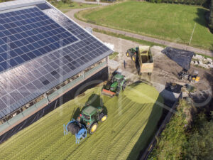 Maïsteelt (DJI_0095)