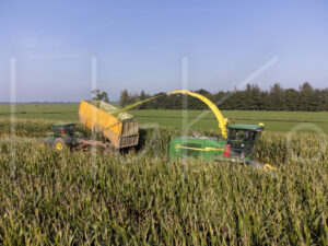 Maïsteelt (DJI_0100)