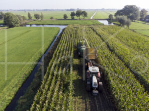 Maïsteelt (DJI_0105)