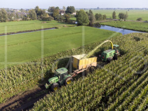 Maïsteelt (DJI_0109)