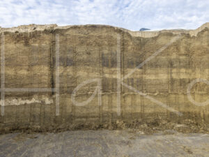 Overige veeteelt (L1A1013)