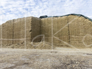 Overige veeteelt (L1A1016)