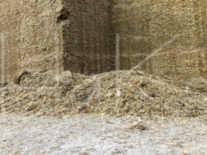 Overige veeteelt (L1A1021)